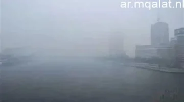 صغرى 12 درجة.. شبورة كثيفة وضباب يغطيان القاهرة